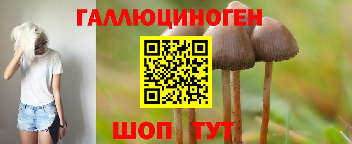 Кандалакша  Галлюциногенные грибы MAGIC MUSHROOMS  где продают   Галлюциногенные грибы Magic Shrooms  Вход с VPN 