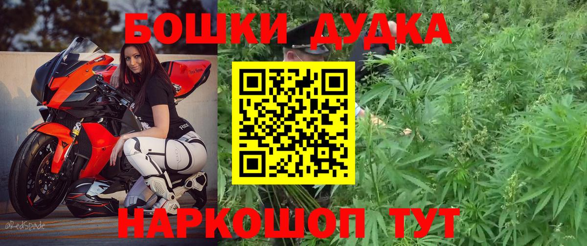МАРИХУАНА план Кандалакша